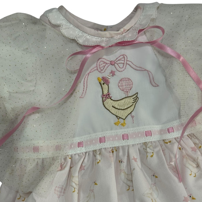 Silly Goose Birthday Cape
