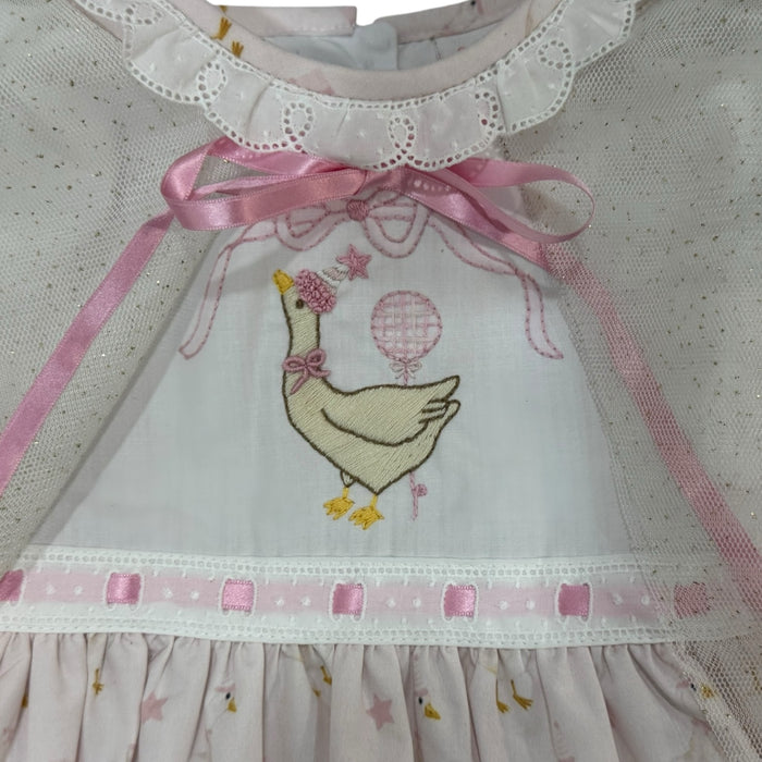Silly Goose Birthday Cape