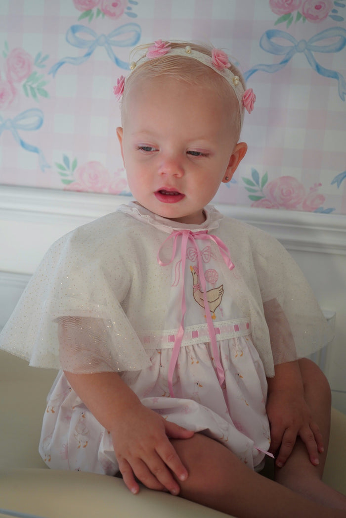 Silly Goose Birthday Cape