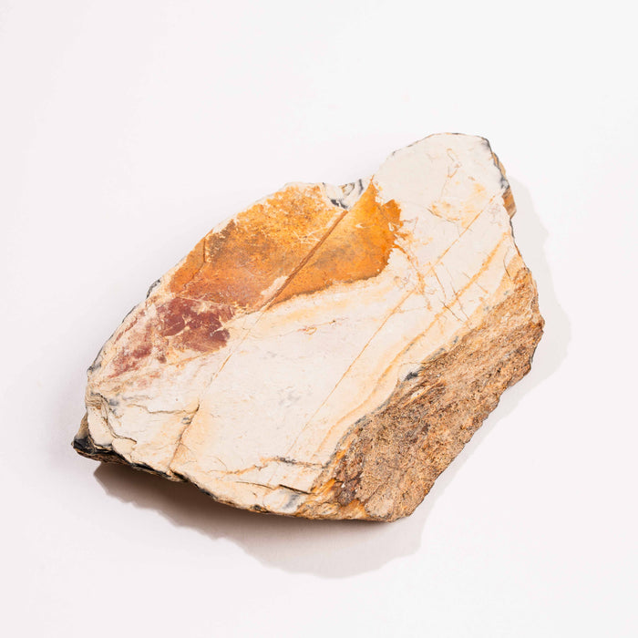 Slaty Shale Record - Earth Love Gallery Collection