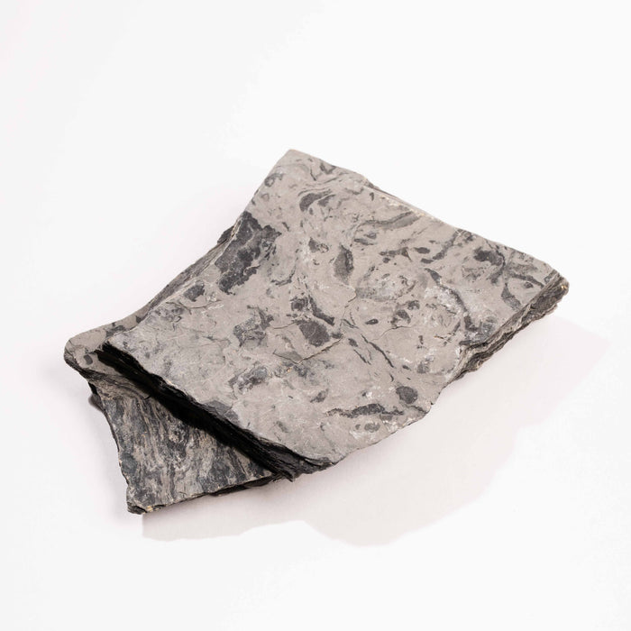 Slaty Shale Record - Earth Love Gallery Collection
