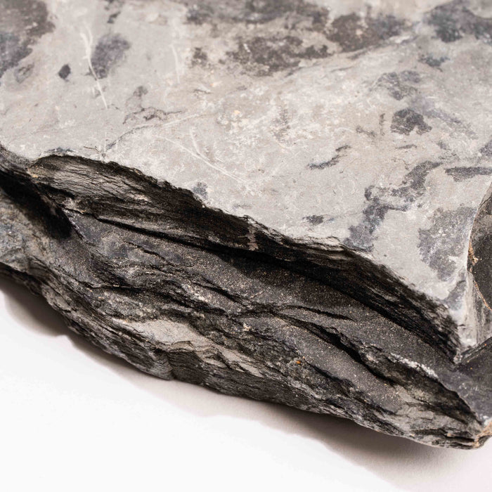Slaty Shale Record - Earth Love Gallery Collection