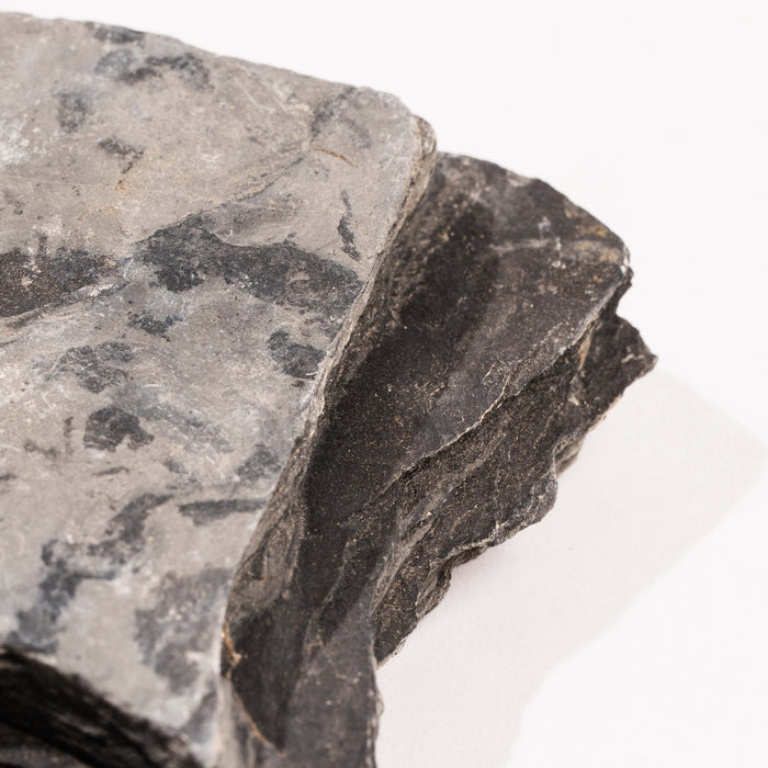 Slaty Shale Record - Earth Love Gallery Collection