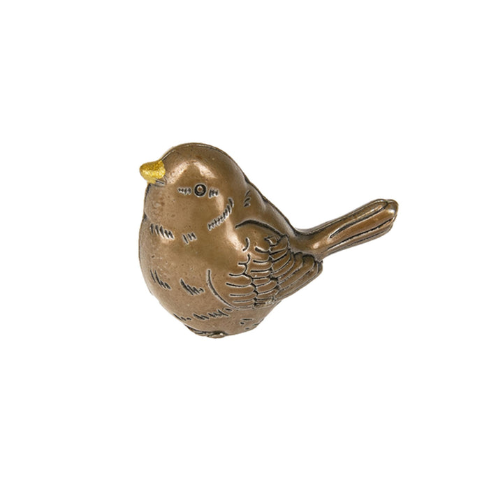 The Little Worry Bird