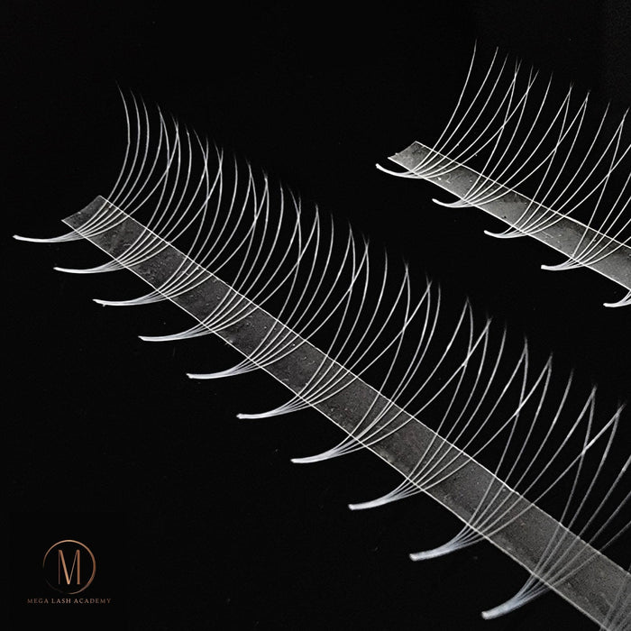 White 5D Rapid Promade Fans - 600 Fans