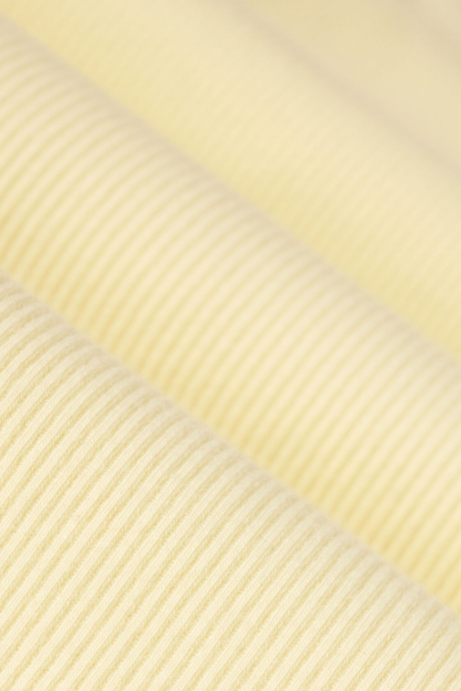 Z Supply Sirena Colorblocked Rib Tank